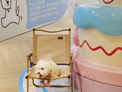 -开元商城(西旺店)