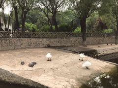 -石家庄市动物园