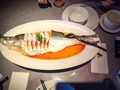 清蒸白水鱼-醉庐·新上海菜(南京西路店)