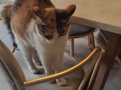 -后海16号·北京私房菜