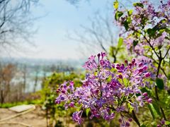 -大运河源头遗址公园