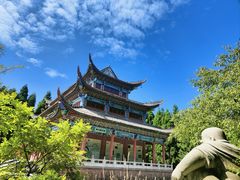 -武陵山森林公园