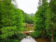 -云溪植物园