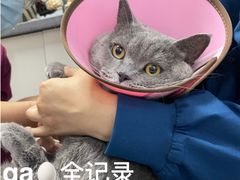 -瑞派宠物医院(锦江店)