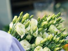 -循礼门鲜花花市(武汉循礼门店)