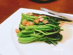 菜心-青岛颐海花园酒店总店·自助餐厅