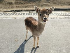 -常州淹城野生动物世界
