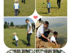 -瑶湖郊野森林公园