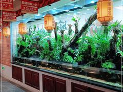 自助取餐区-闽南厝·闽南菜(福隆店)