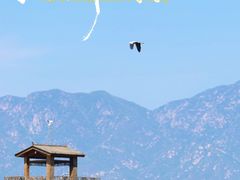 -野鸭湖国家湿地公园