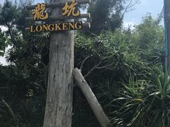 -龙坑生态保护区