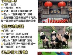 -重庆中国三峡博物馆(重庆博物馆)