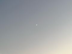 -豫掌柜饸饹面·烩面(秀沿路店)