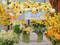 -郫都区农科村景区