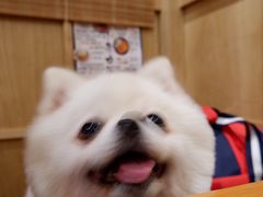 -小条食堂(筼筜天虹店)