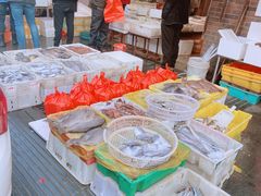 -芦潮港集贸市场