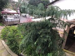 -花间酒庭院餐厅(谷山店)