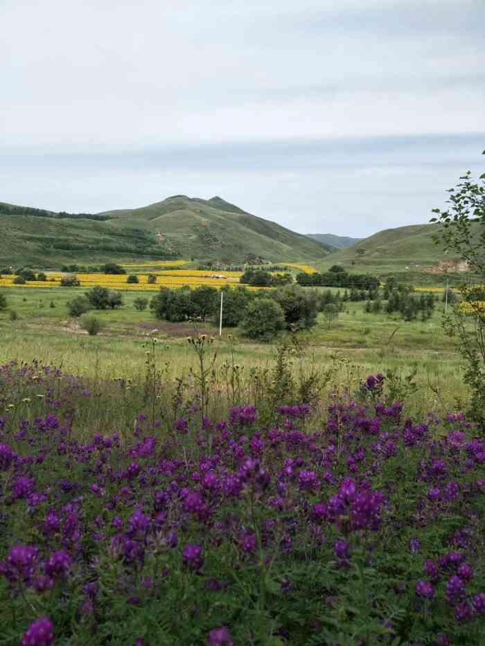 小井沟生态园-"内蒙古小井沟生态旅游有限责任公司开发的小.