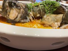 -泰河谷·豆捞