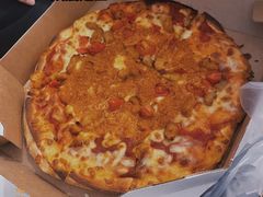 -达美乐比萨(武定店)