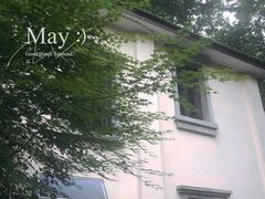 -也枫·小黄楼(南山路旗舰店)