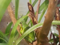 -UCCA Kids 儿童美育