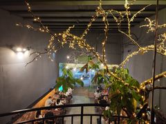 -土蚝·高压锅生蚝(百姓美食街店)