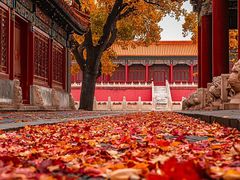 -故宫博物院(故宫)