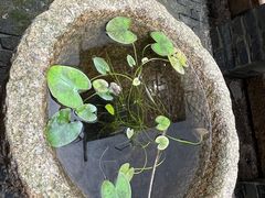 -月栖华明-云间草堂清茶馆(泗泾古镇店)