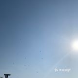 平湖探店｜我在中埭等你，樱花里等你