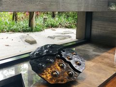 -隐秀山居酒店大堂吧