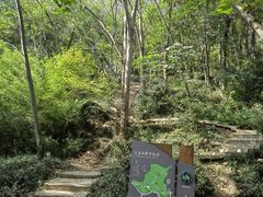 -上海佘山国家森林公园天马山园