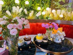 -花隐·美芙炫海菲秀皮肤管理中心