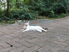 -苏州河梦清园环保主题公园