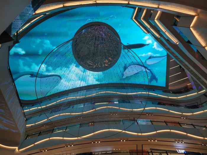 dic帝斯曼购物中心-"中南新开的一家商场,男朋友说他中学的时候.