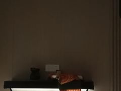 -云昕水语(嘉禾金铂旗舰店)