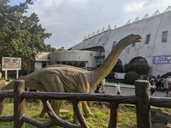 -自贡恐龙博物馆