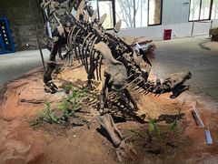 -自贡恐龙博物馆