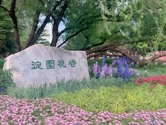 -海淀公园