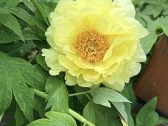 -仁和公园(顺义区)