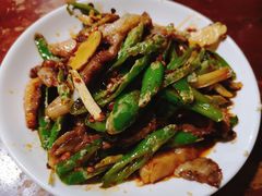 回锅羊肉-野狗羊肉汤