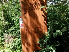 -王顺山国家森林公园