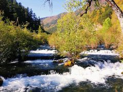 -九寨沟-树正沟