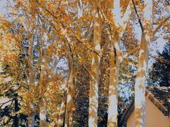 -河南省黄河迎宾馆