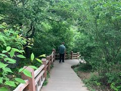 -香山公园