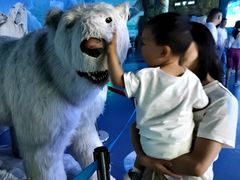 -多彩贵州城极地海洋世界