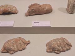 -安阳博物馆