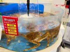 -北塘海鲜·天津菜·鲅鱼水饺是一绝(大光明桥旗舰店)