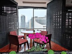 -广州富力君悦大酒店空中花园
