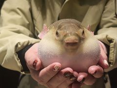 -永安鱼庄·镇江菜(东吴路店)